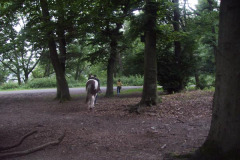 2005_047