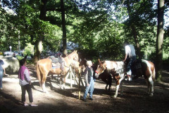 2005_053