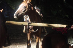 2005_056