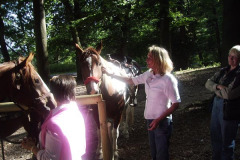 2005_061