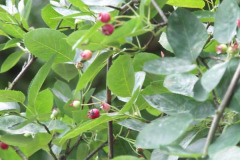 dscf0013