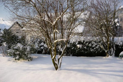 buergelstollen-event-silvester-2010_001